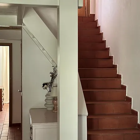 The Tree House 96c - *