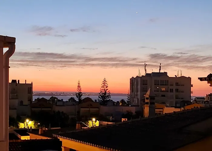 The Tree House 96c -