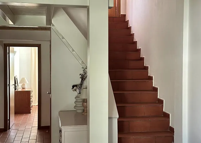 The Tree House 96c - *