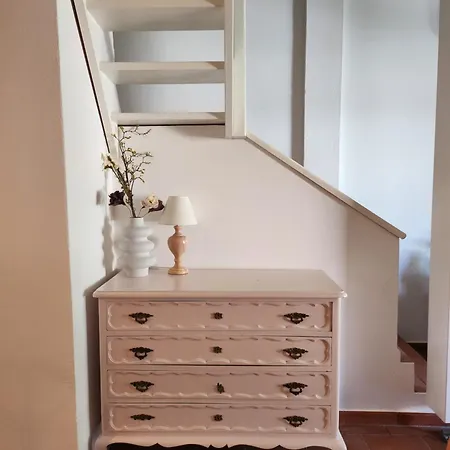 The Tree House 96c -