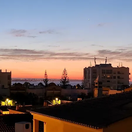 The Tree House 96c -